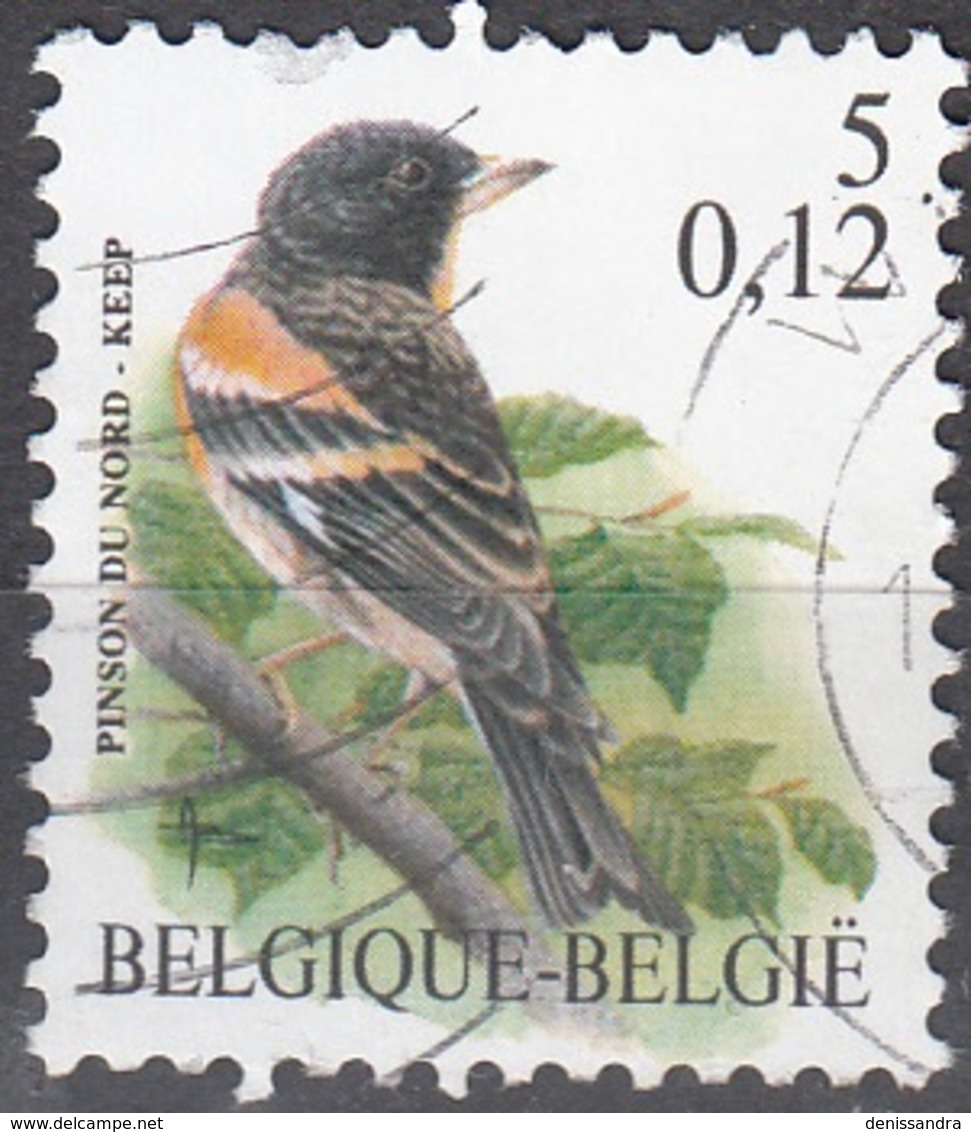 Belgique 2000 COB 2921 O Cote (2016) 0.20 Euro Pinson Du Nord Cachet Rond - Oblitérés