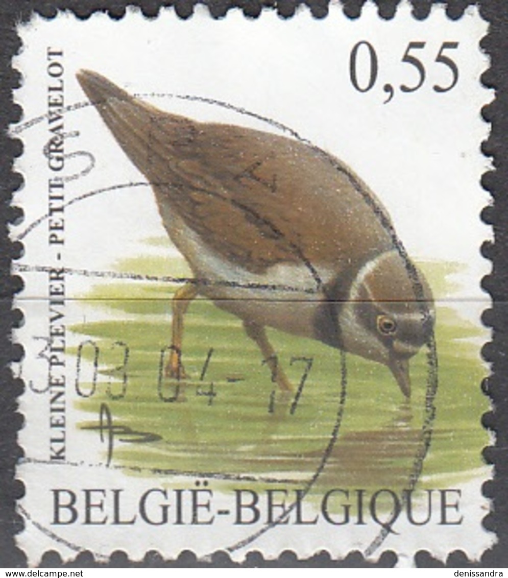 Belgique 2004 Michel 3319 O Cote (2016) 1.20 Euro Petit Gravelot Cachet Rond - Gebraucht