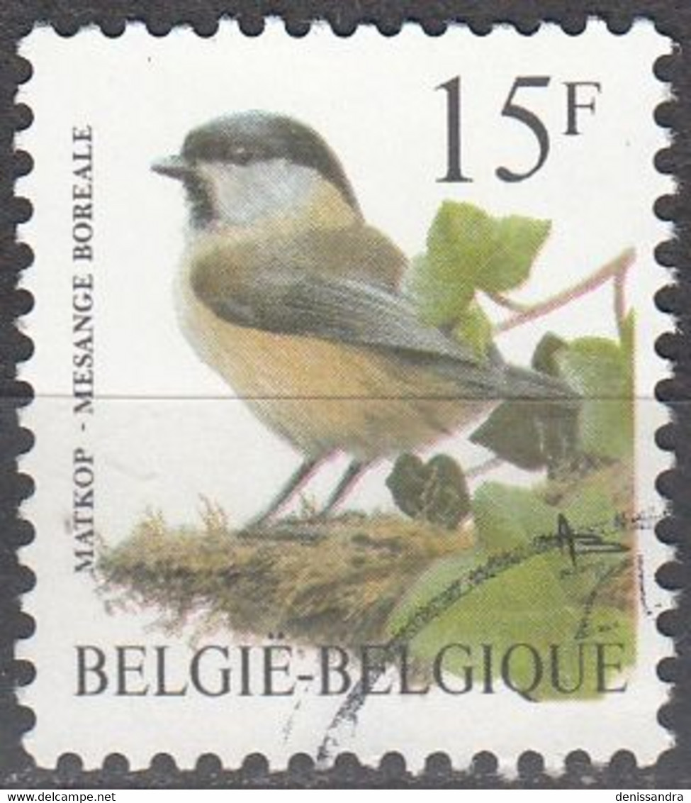 Belgique 1997 Michel 2747 O Cote (2008) 0.70 Euro Mésange Boréale Cachet Rond - Oblitérés