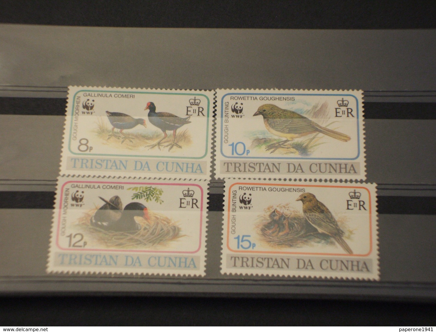 TRISTAN DA CUNHA - 1991 WWF UCCELLI 4 VALORI  - NUOVI(++) - Tristan Da Cunha