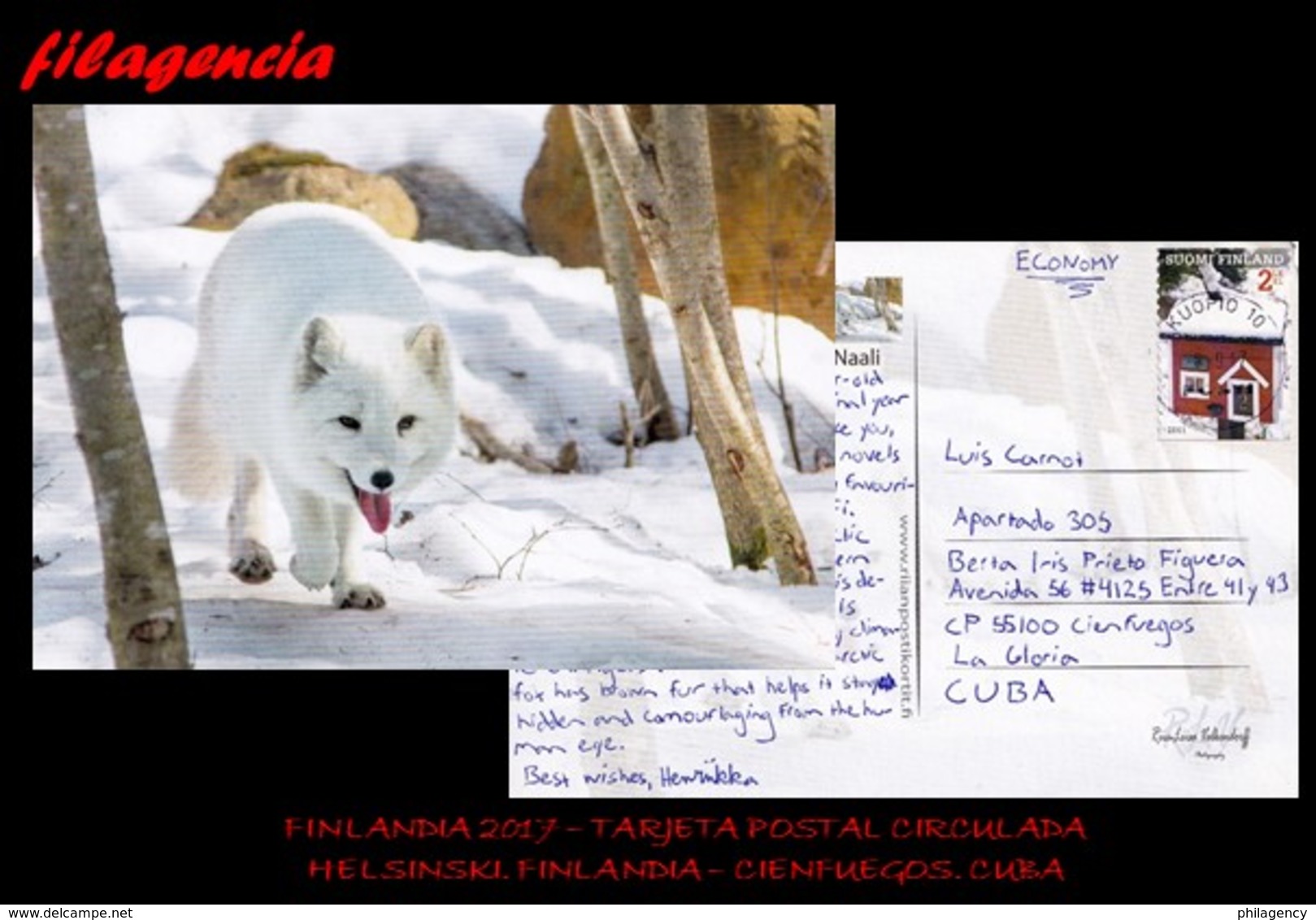 EUROPA. FINLANDIA. ENTEROS POSTALES. TARJETA POSTAL CIRCULADA 2017. HELSINKI. FINLANDIA-CIENFUEGOS. CUBA. ZORRO ÁRTICO - Briefe U. Dokumente