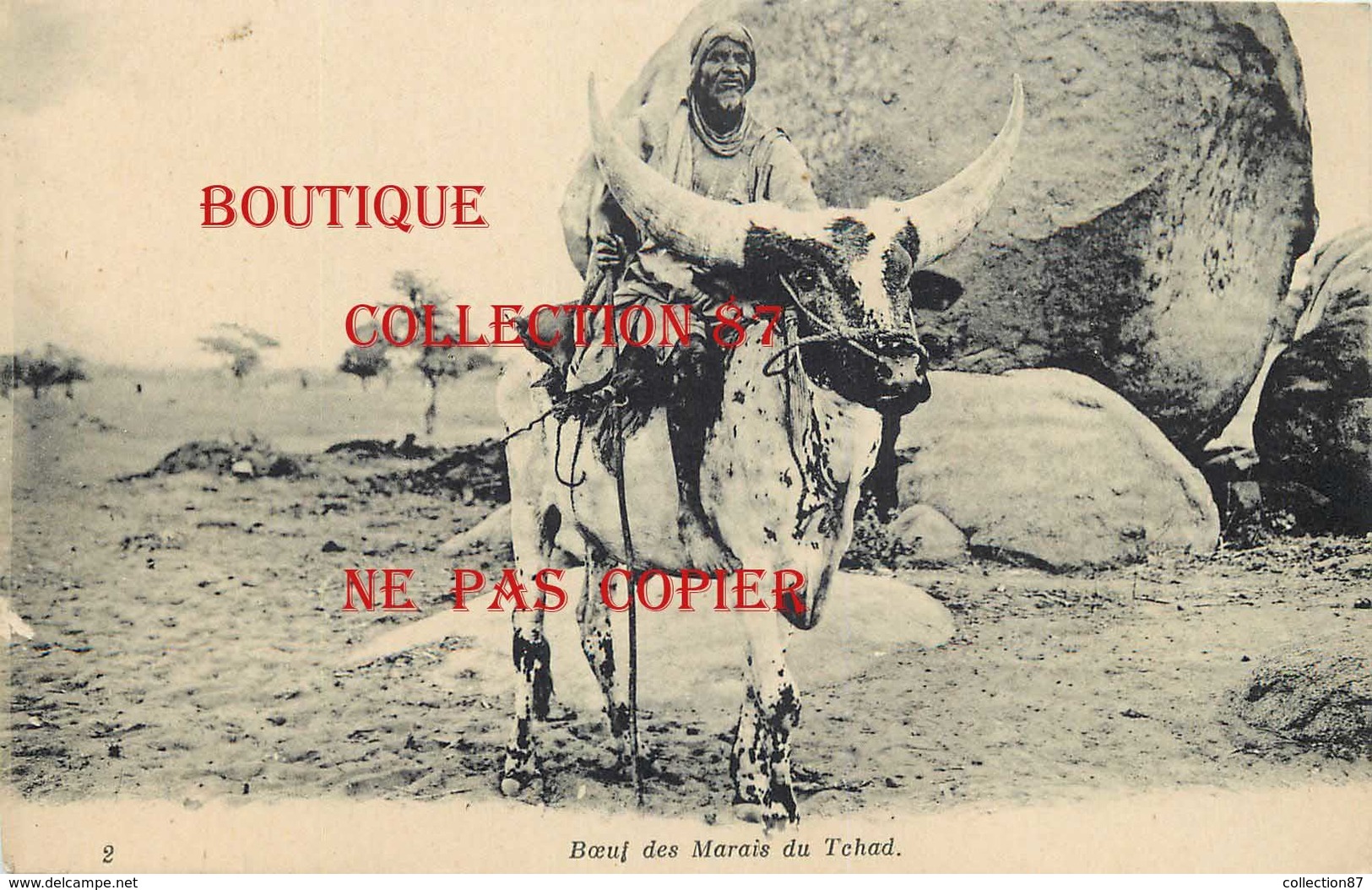 ☺♥♥ TCHAD < BOEUF Des MARAIS Du TCHAD - CARTE RARE - Tchad