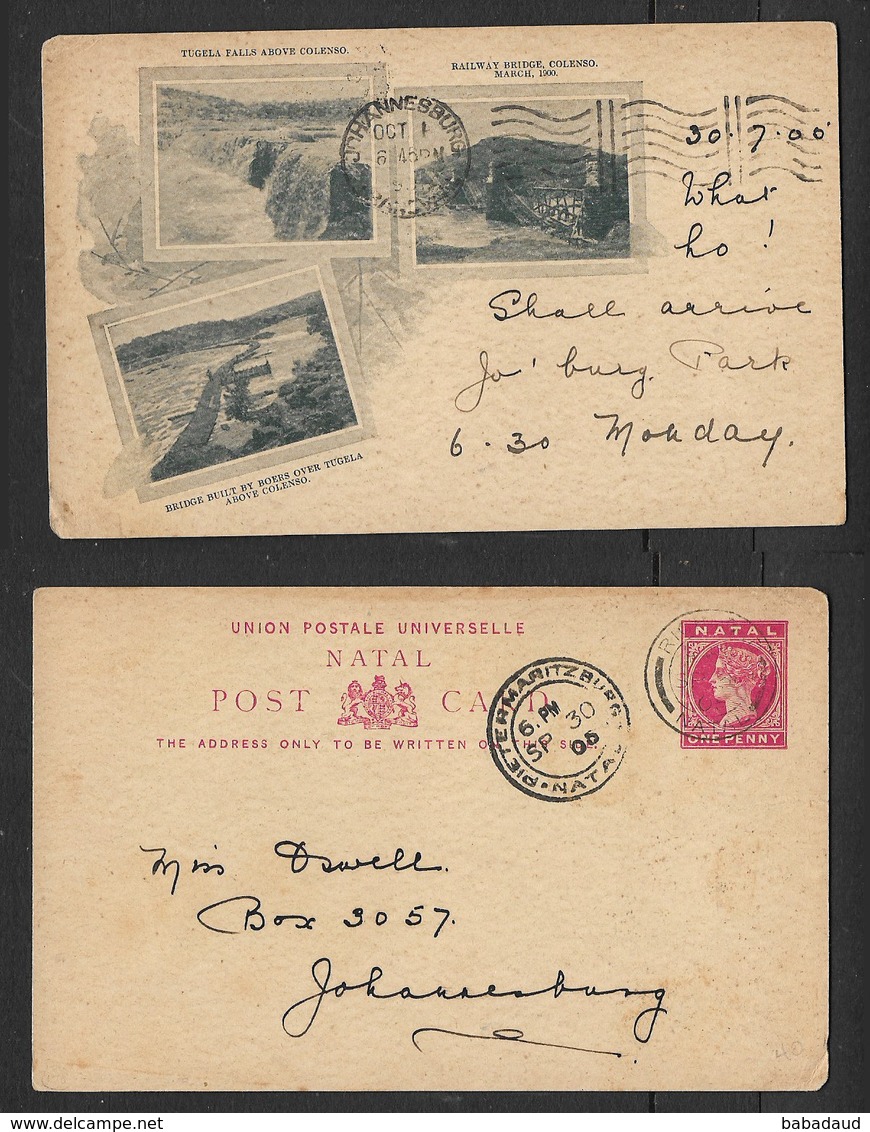 S.Africa, Natal.pictorial Postal Card, 1d, RICHMOND NATAL SP 30 05 > JOHANNESBURG, PIETERMARITZBURG Transit - Natal (1857-1909)