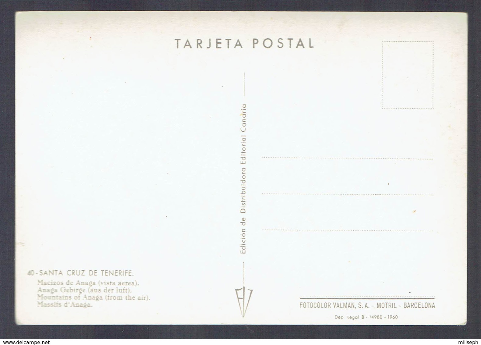 SANTA CRUZ DE TENERIFE - Massif D'Anaga -    (4731) - Tenerife