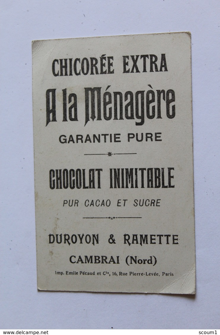 Chromo  Chicoree Extra A LA MENAGERE CHOCOLAT INIMITABLE Cambrai Duroyon Et Ramette LES BOISSONS LE CHam  7 Cm X 10,9 Cm - Duroyon & Ramette