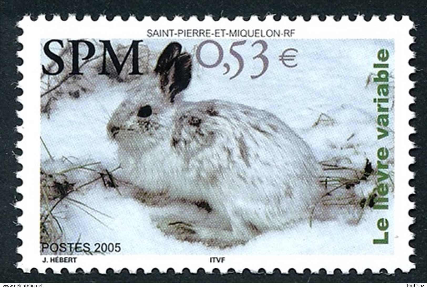 ST-PIERRE ET MIQUELON 2005 - Yv. 855 **   Faciale= 0,53 EUR - Faune. Lièvre Variable  ..Réf.SPM11557 - Unused Stamps