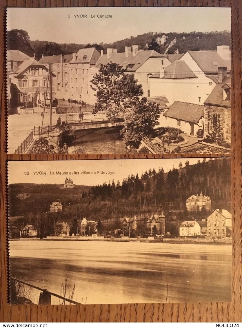 2 CPA, Yvoir, Le Cénacle Et La Meuse Et Les Villas De Fidevoye, édition Belge, Bruxelles, Belgique - Yvoir