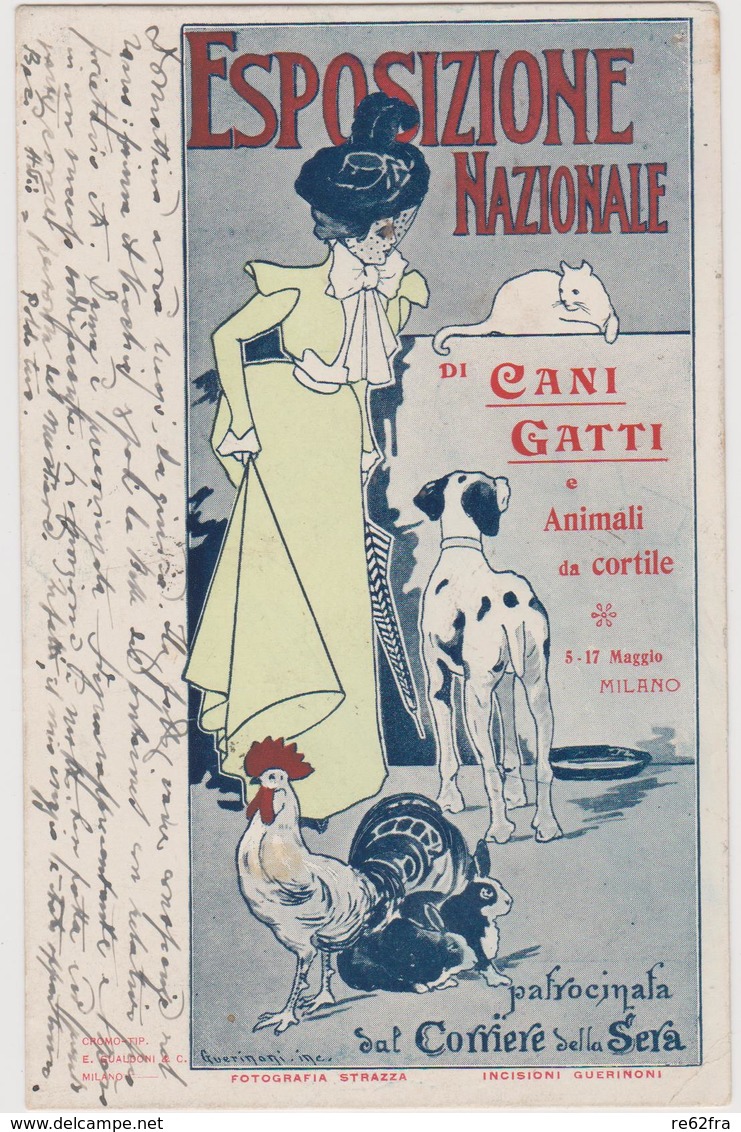 Esposizione Nazionale Cani E Gatti A Milano Nel 1900,  Illustrata Da Guerinoni  - F.p. - Anno 1900 - Manifestazioni