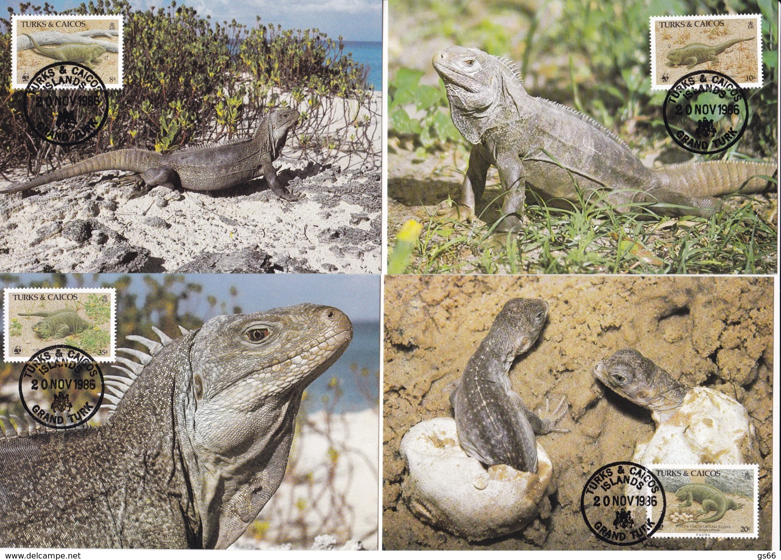 1986, Turk & Caicos, 777/81,  WWF. Natur- Und Umweltschutz: Leguan, Conservation: Iguana, Maxi Cards - Turks & Caicos