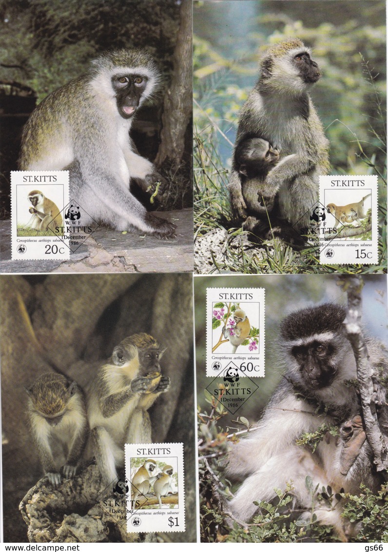 1986, St. Kitts, 184,87,  WWF. Weltweiter Naturschutz: Meerkatzen., Worldwide Nature Conservation: Monkeys. Maxi Cards - St.Kitts Und Nevis ( 1983-...)