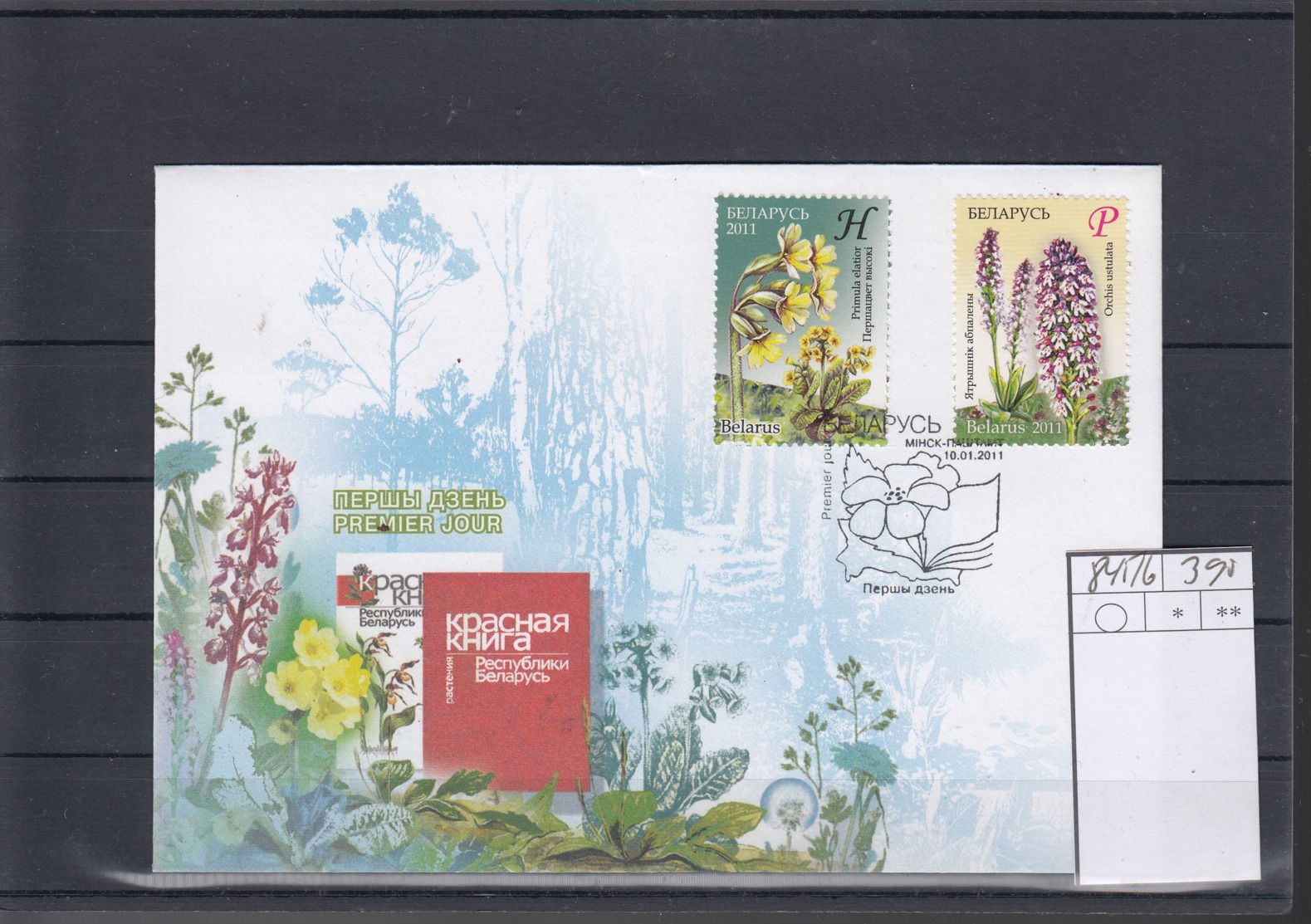 Belarus Michel Cat.No. FDC 845/846 Flowers - Wit-Rusland