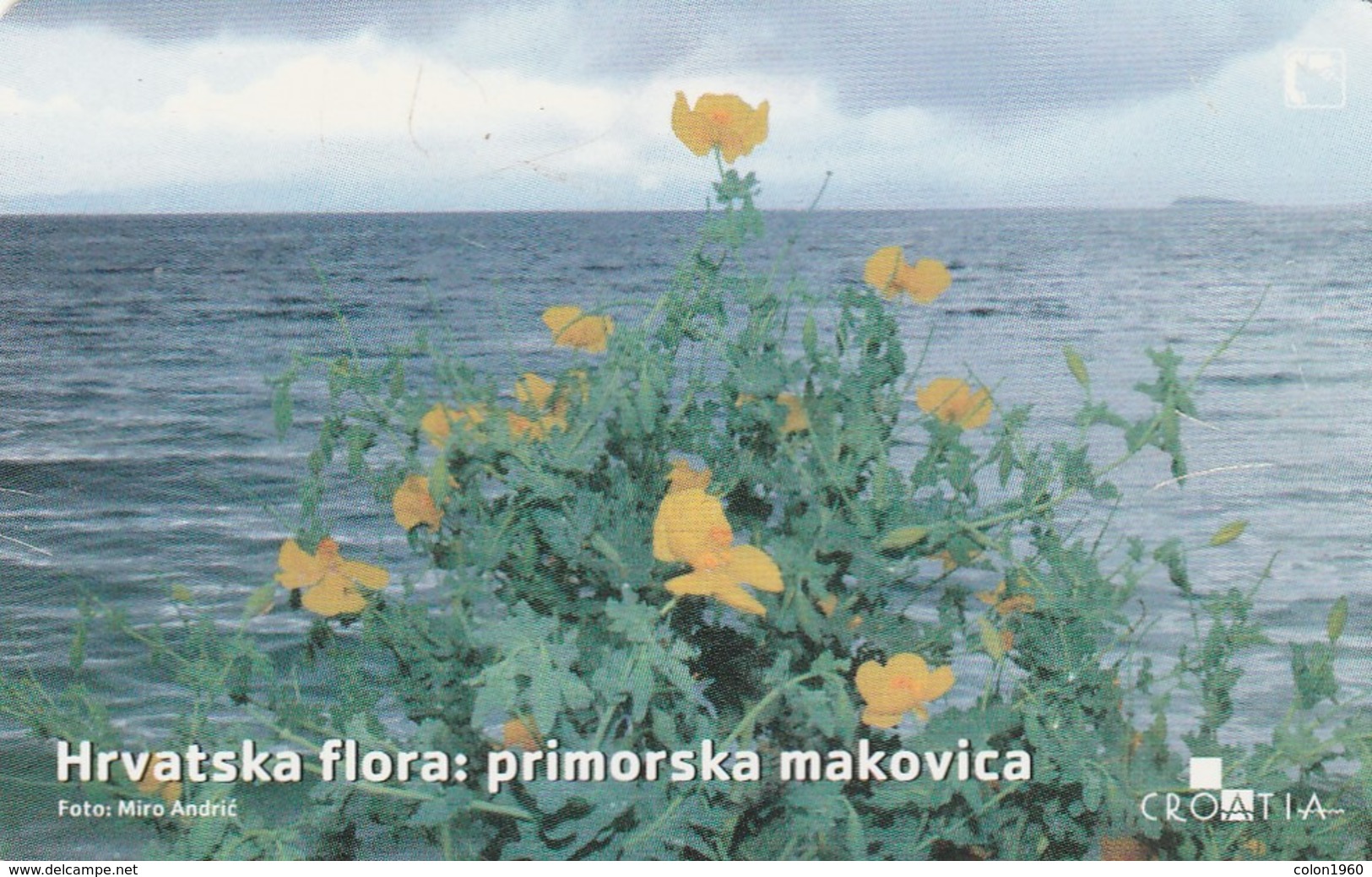 CROACIA. Flora Croata: Primorska Makovica. TK 11/04B. (010). - Flores