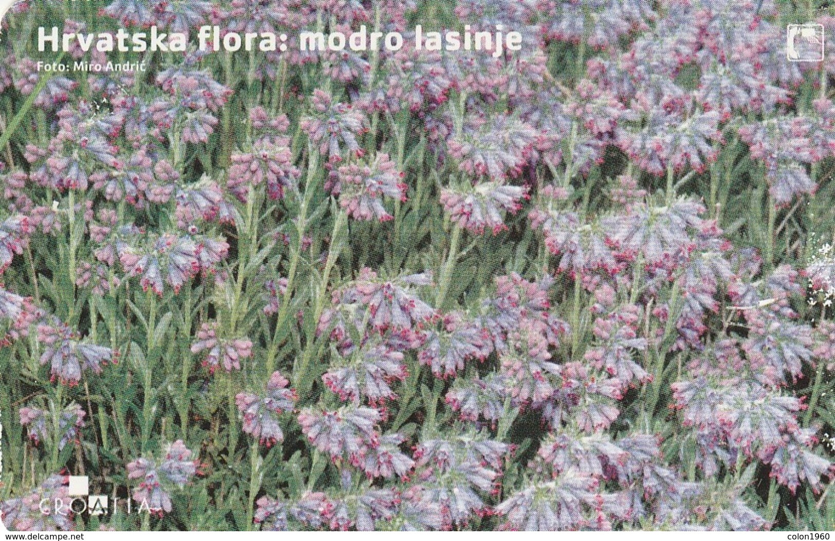 CROACIA. Flora Croata: Modro Lasinje. TK 13/04. (012). - Flores