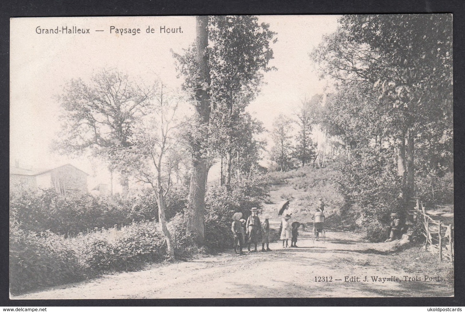 CPA -  Belgique, GRAND HALLEUX, Paysage De Hourt - Vielsalm