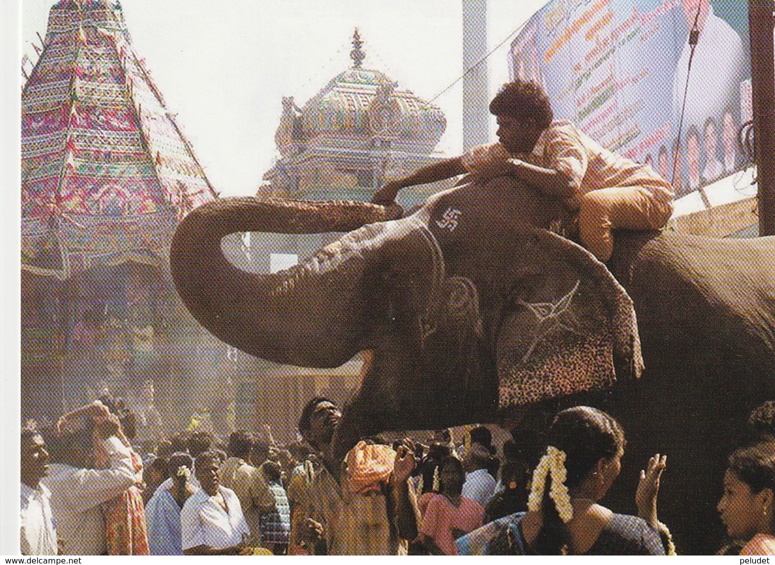 Festival "bountty": Temple Elephant Passes On Coins - Received For Giving Blessings - India