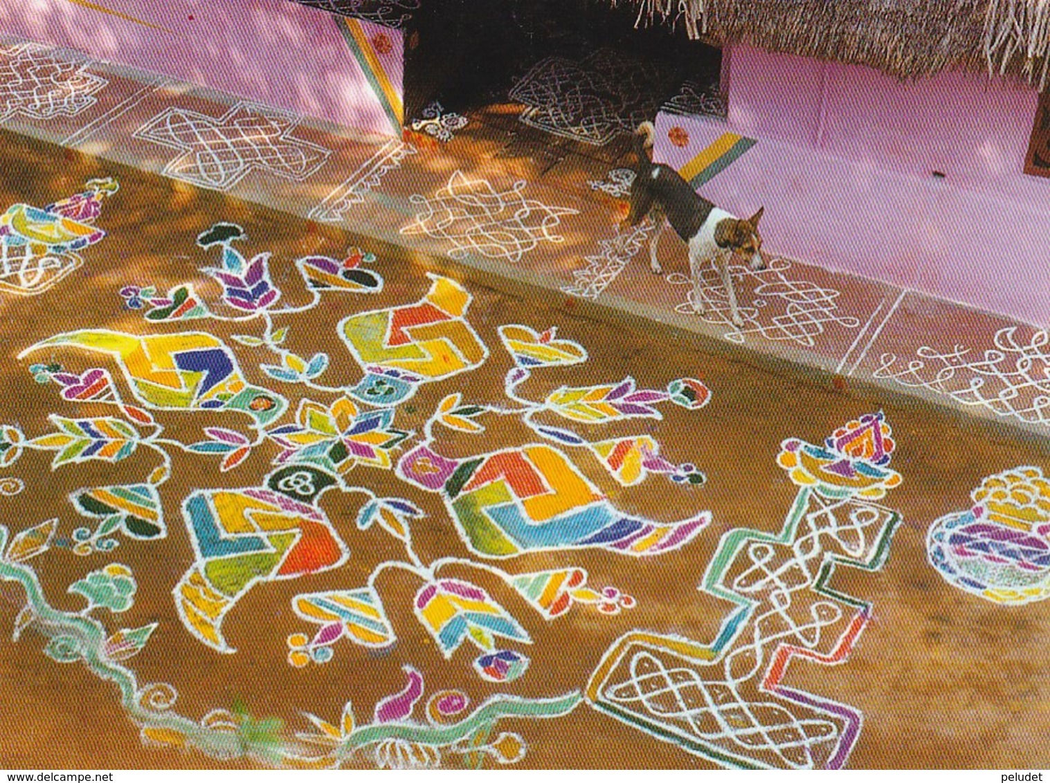 Kolam, Clebrating The Harvest Season - India