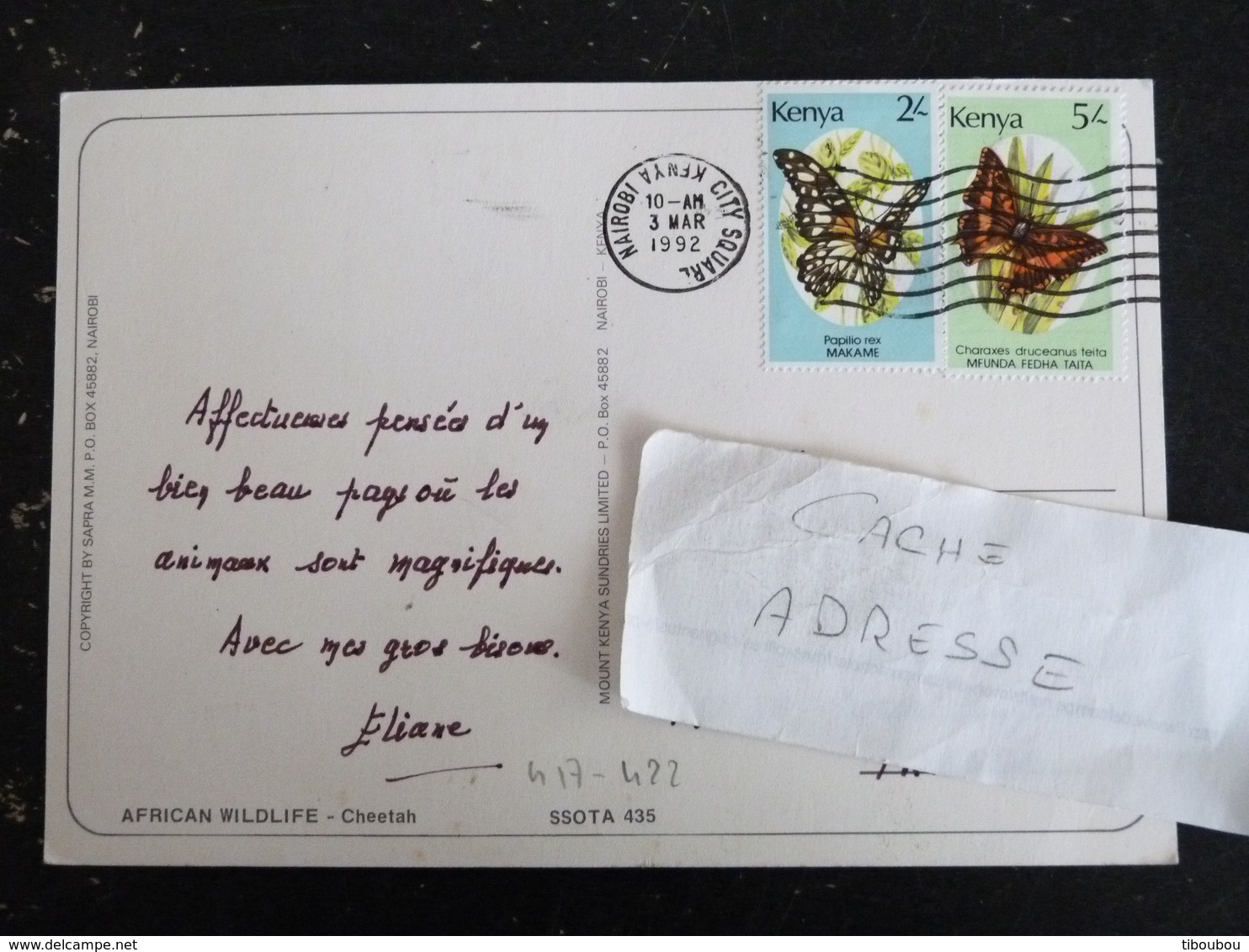 LETTRE KENYA AVEC YT 417 ET 422 PAPILLON BUTTERFLY - GUEPARD FAUVE FELIN ARC EN CIEL RAINBOW - Kenya (1963-...)