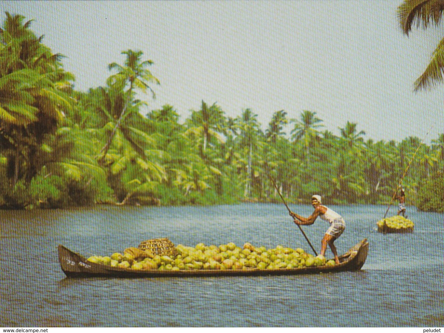 THE KERALA BACKWATERS: TRANSPORTING COCONUTS - India