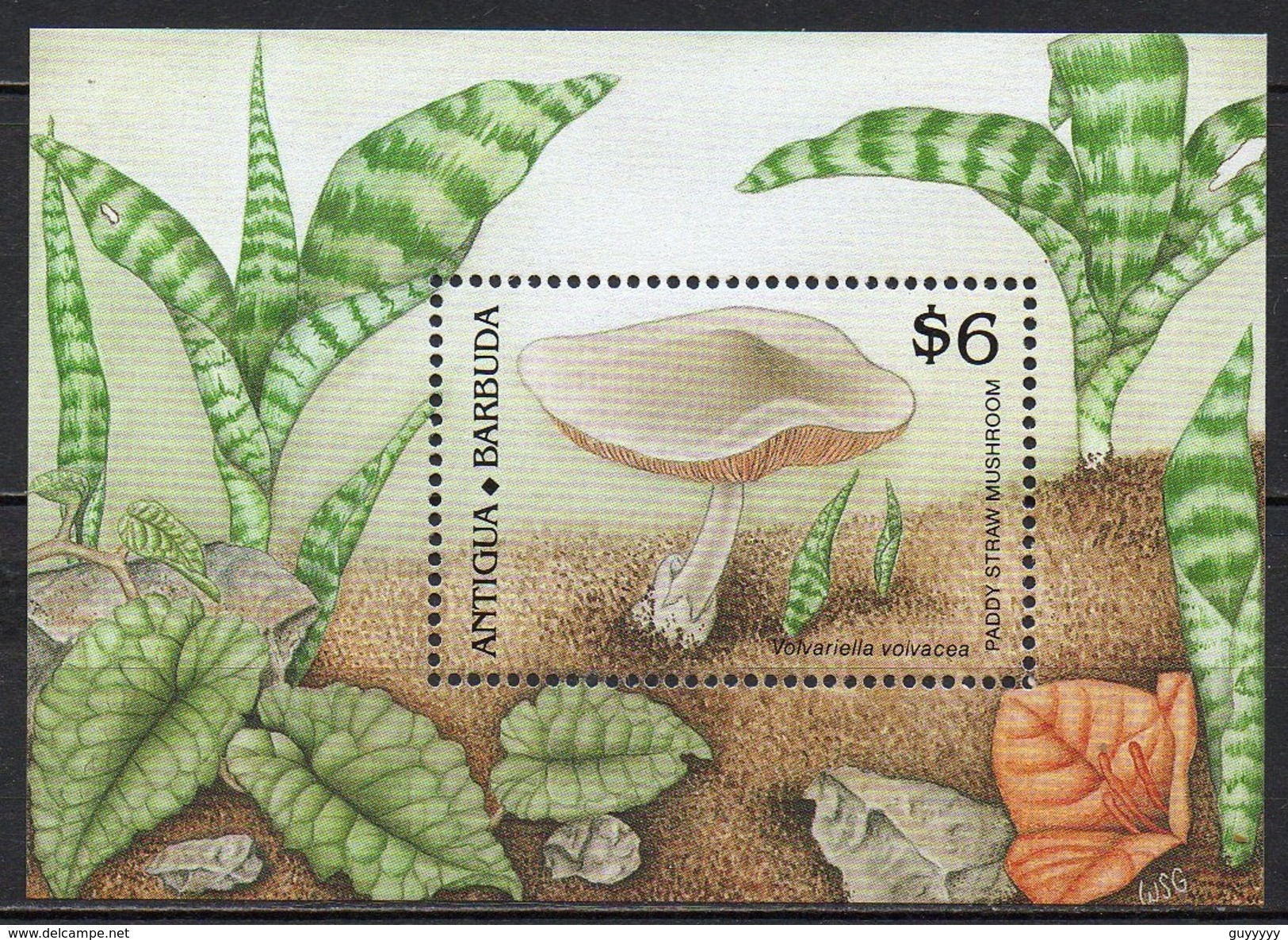 Antigua & Barbuda - 1989 - Yvert N° BF 163 ** - Champignon - Antigua Et Barbuda (1981-...)