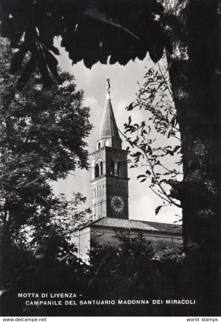 MOTTA DI LIVENZA VIAGGIATA 1953 - Treviso