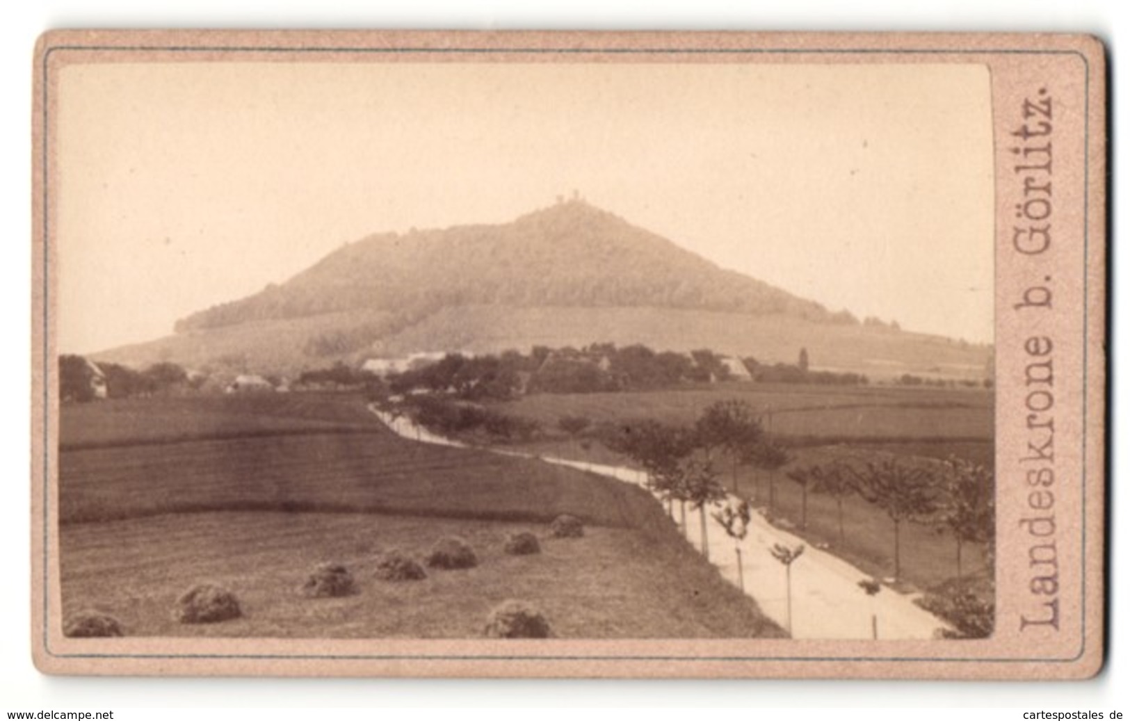 Fotografie Fotograf Unbekannt, Ansicht Landeskrone Bei Görlitz, Landschaftspanorama - Orte