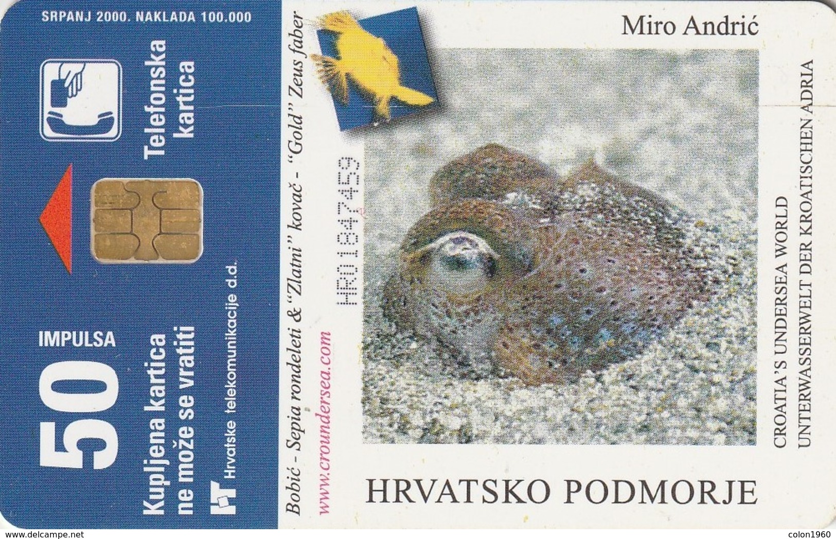 CROACIA. OCTOPUS - PULPO. FAUNA MARINA. Eledone Moschata. TK 34/00. (024). - Otros & Sin Clasificación