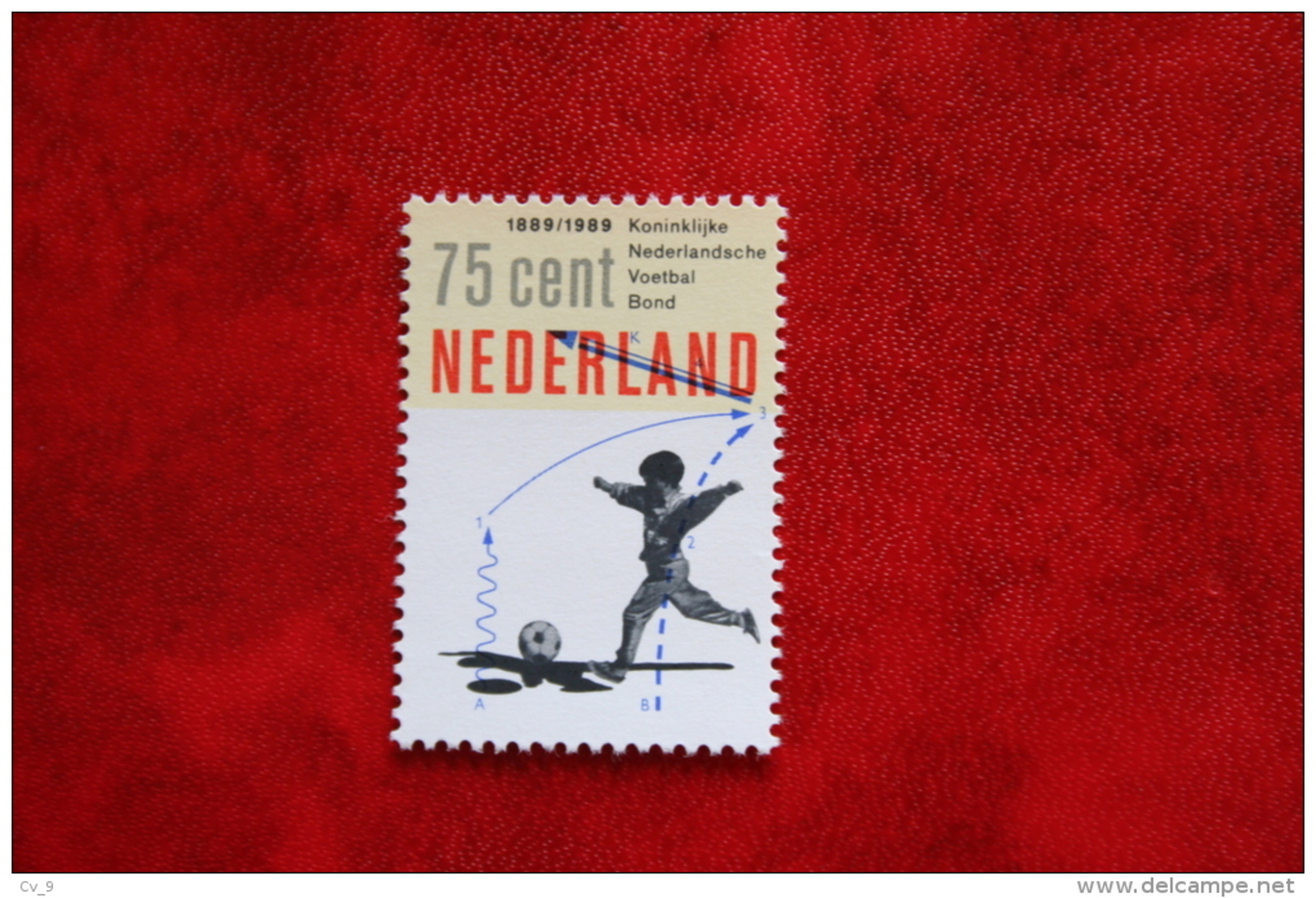 100 Jaar KNVB Voetbal Fussball Soccer NVPH 1433 (Mi 1369); 1989 POSTFRIS / MNH ** NEDERLAND / NIEDERLANDE - Ungebraucht