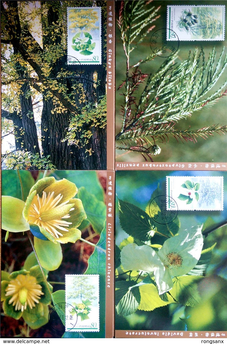 2006 CHINA Plants Of Relic Species MC-70 - Maximum Cards