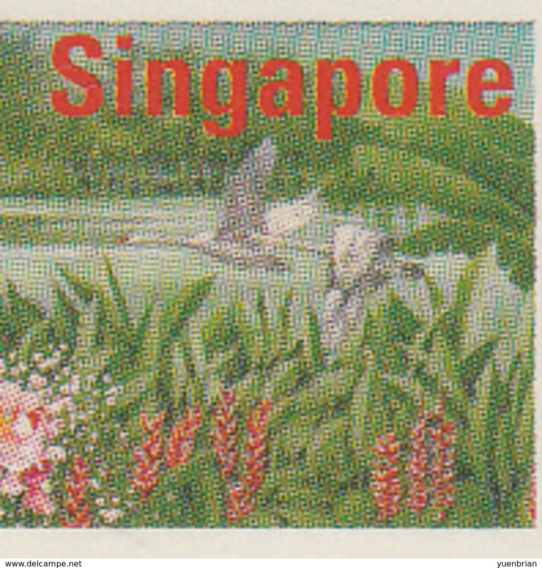 Singapore ATM , Swans, Bird, Birds, 65 Cents, MNH** - Cigni