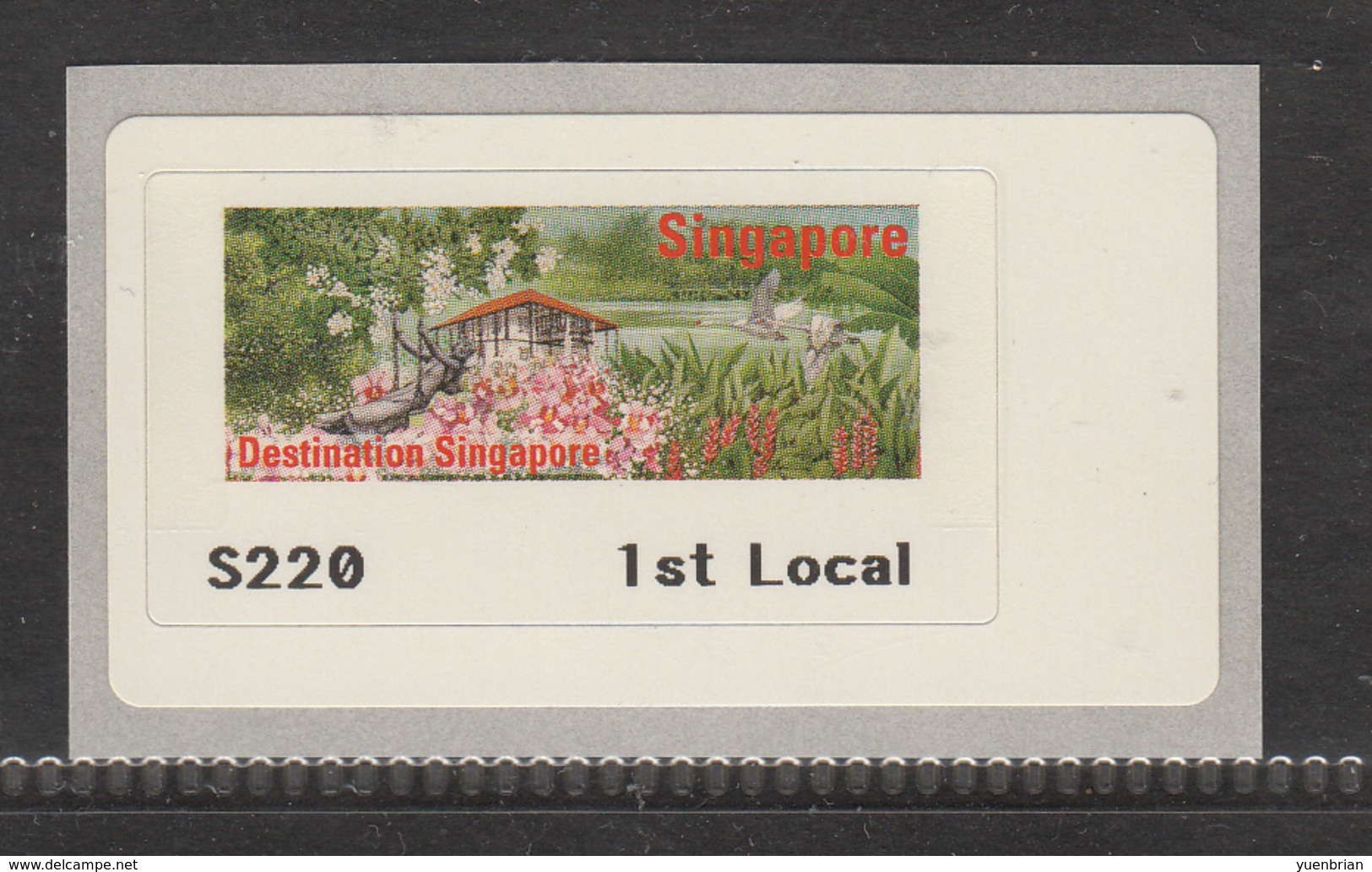 Singapore ATM , Swans, Bird, Birds, First Local Standard Postage, MNH** - Schwäne