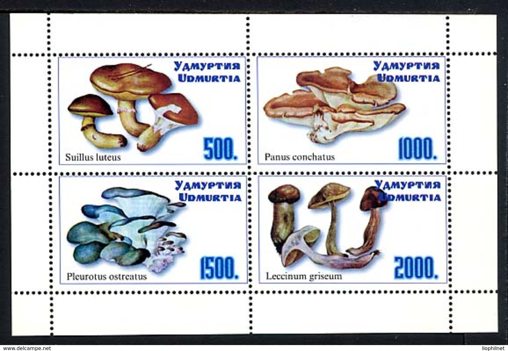 RUSSIE Udmurtia 2000, CHAMPIGNONS / MUSHROOMS, Feuillet De 4 Valeurs, Neuf / Mint. R246 - Vignettes De Fantaisie