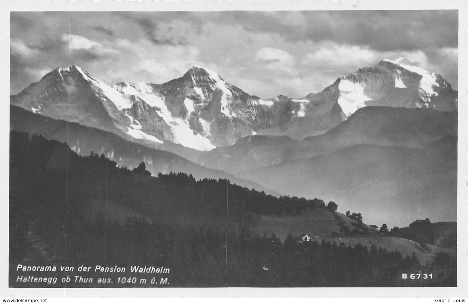 Panorama Von Des Pension Waldheim Haltenegg Ob Thun - Wald