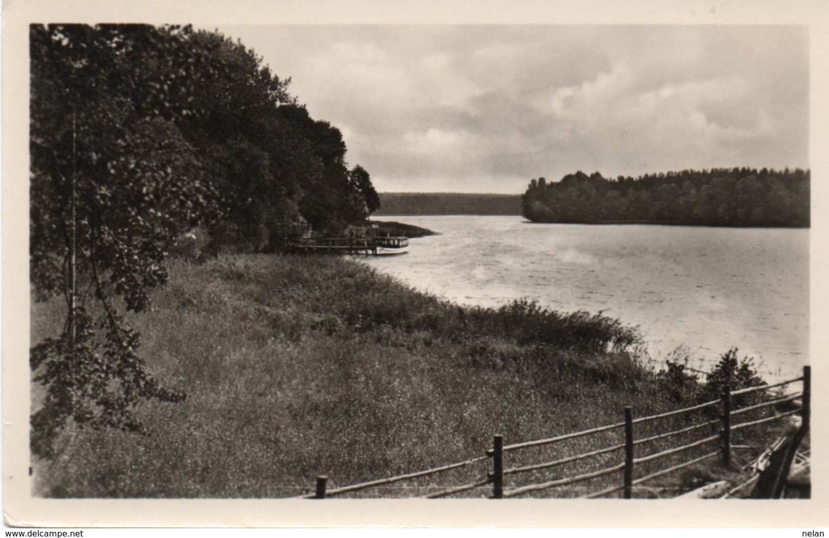 ZECHLINERHUTTE-SCHLABORNSEE-REAL PHOTO- NON  VIAGGIATA - Zechlinerhütte