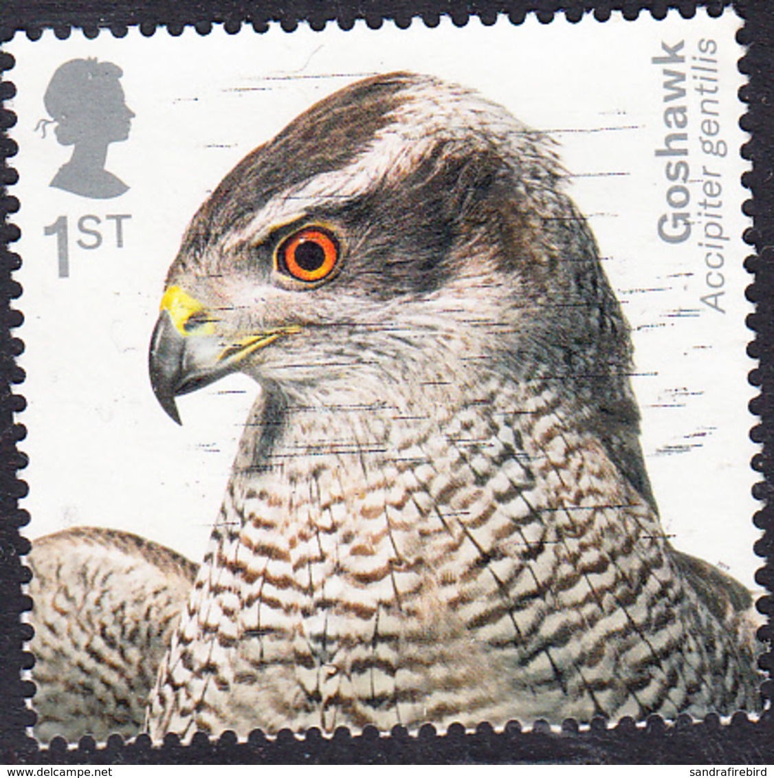 Birds Of Prey (2019) - Northern Goshawk (Accipiter Gentilis) 1st SG4206 - Used Stamps