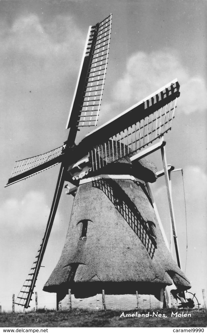 Windmolen Molen Windmill Moulin à Vent    Nes Op Ameland Waddeneilanden  Friesland Korenmolen De Phenix     L 623 - Windmolens