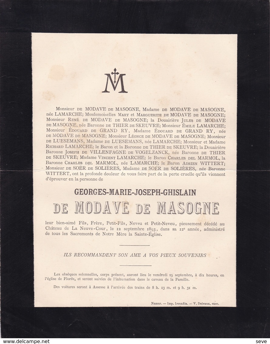 ASSESSE FLOREE Georges De MODAVE De MASOGNE 12 Ans 1893 Faire-part Mortuaire De THIER De GRAND RY De LUESEMANS - Décès