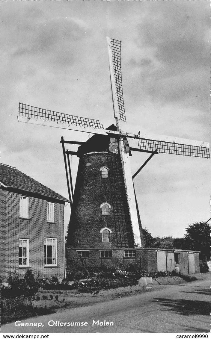 Windmolen Molen Windmill Moulin à Vent  Gennep  Ottersumse Molen  Echte Fotokaart      L 652 - Windmolens