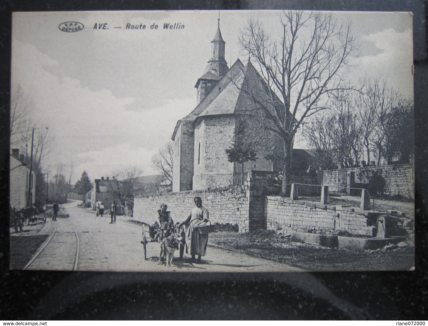 AVE   /  AVE-ET-AUFFE / ROCHEFORT    Attelage De Chiens , Route De Wellin - Rochefort