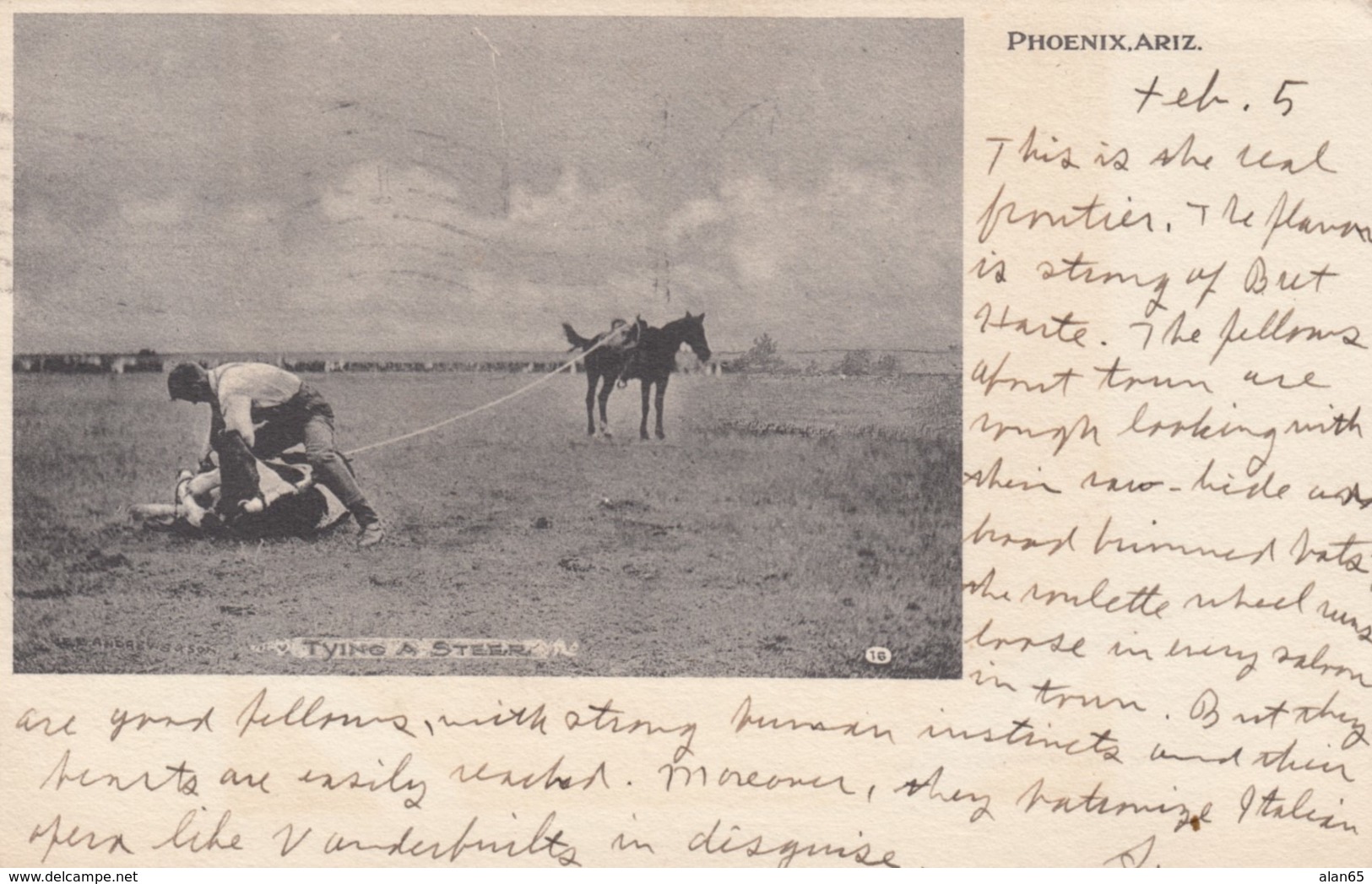 Phoenix Arizona, Tying A Steer Cowboy Cattle Ranching Lasso C1900s Vintage Postcard - Phoenix