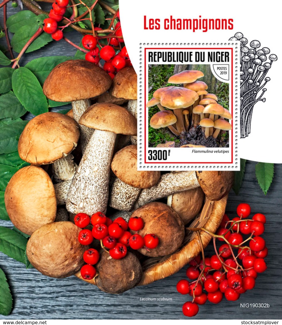 Niger 2019   Mushrooms  S201907 - Niger (1960-...)