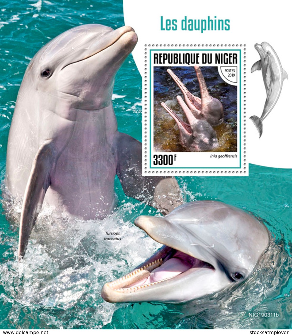 Niger 2019 Fauna  Dolphins  S201907 - Niger (1960-...)