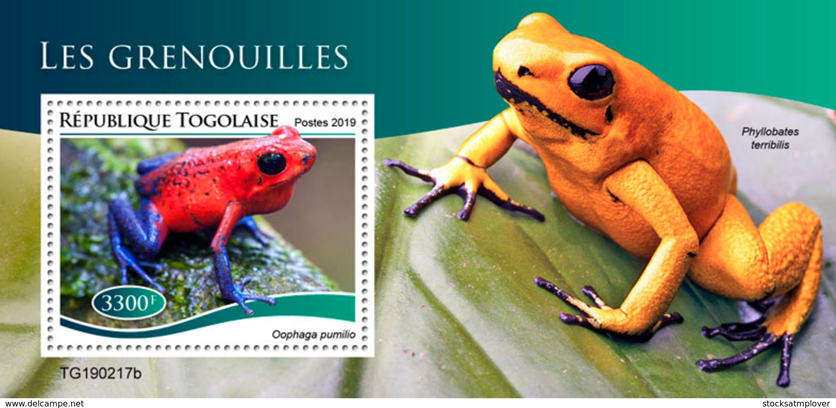 Togo  2019 Fauna Frogs   S201907 - Togo (1960-...)