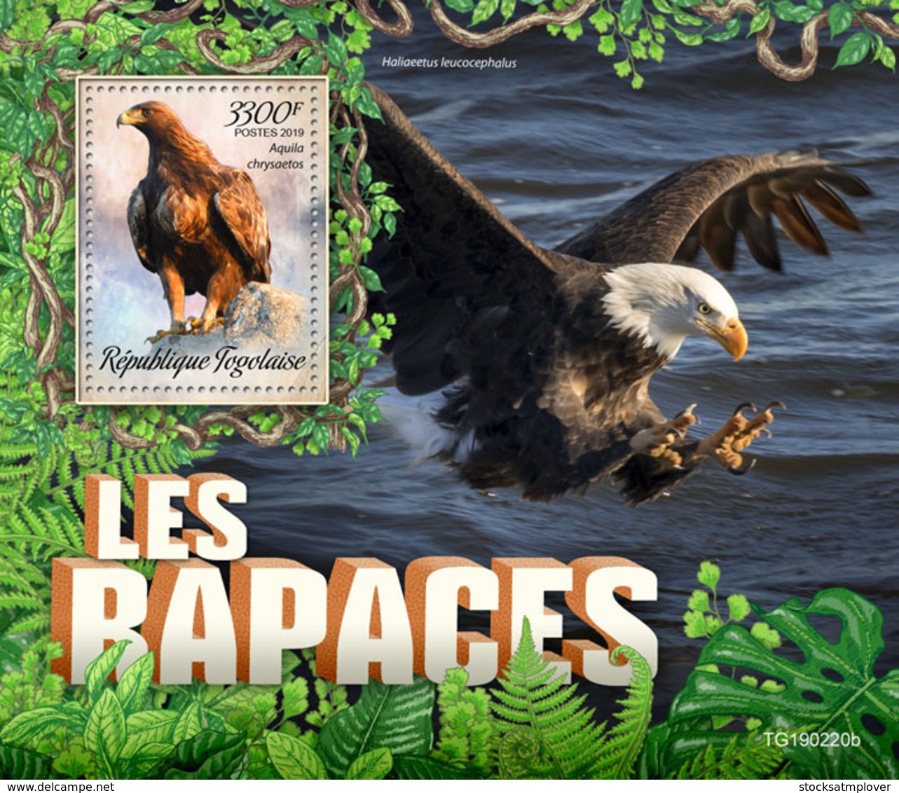 Togo  2019 Fauna  Birds Of Prey ,eagle  S201907 - Togo (1960-...)