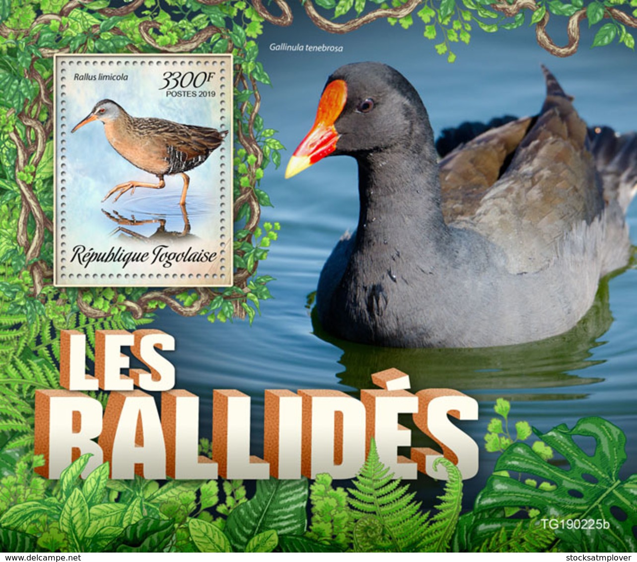 Togo  2019 Fauna  Rallidae .birds    S201907 - Togo (1960-...)