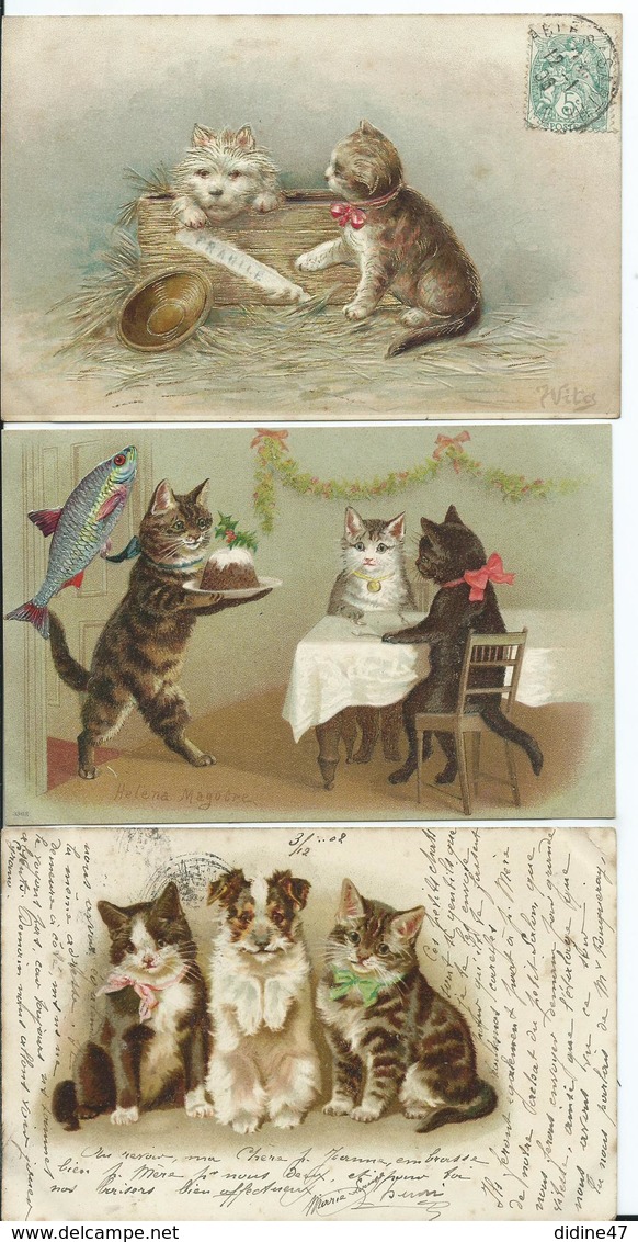 CARTE FANTAISIE - Lot De 3 C.P.A. CHATS - Cats