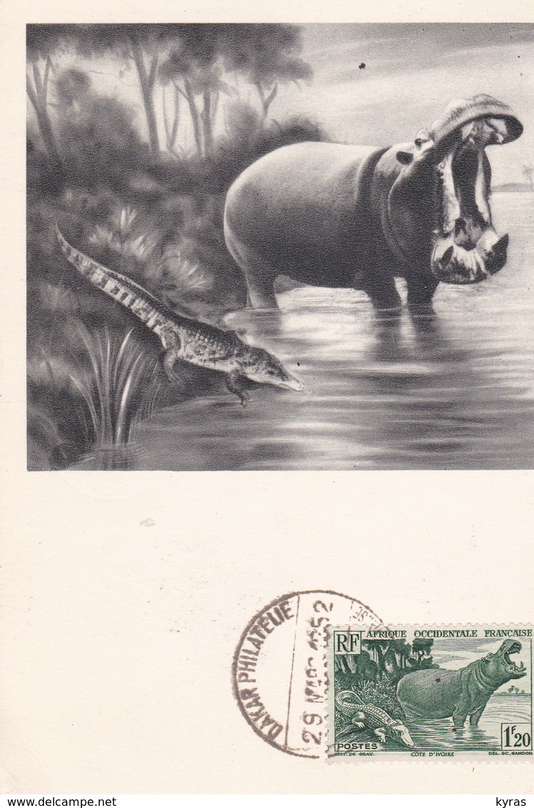 PS / Carte Maximum 10x15 PUB Labo LA BIOMARINE Série A.O.F. (VIII) COTE D'IVOIRE . Hippopotame Et Crocodile - Publicité