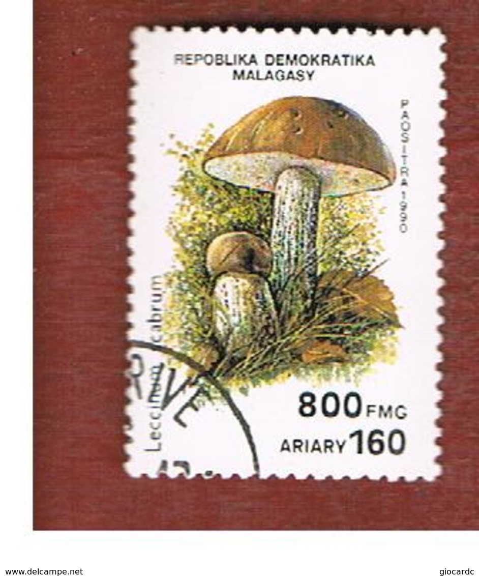 MADAGASCAR -  SG 841  -   1990   MUSHROOMS: LECCINUM SCABRUM    -  USED° - Madagascar (1960-...)