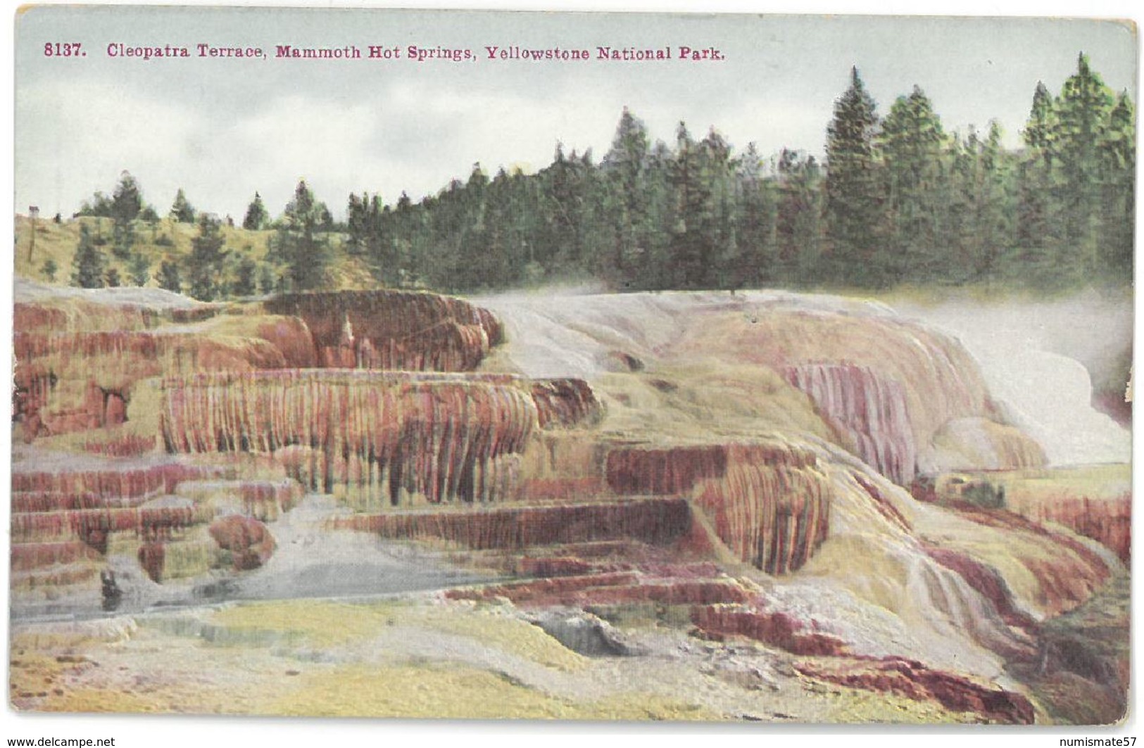 CPA YELLOWSTONE National Park - Cleopatra Terrace  - Mammoth Hot Springs - H.H.T CO. N°8137 - Yellowstone