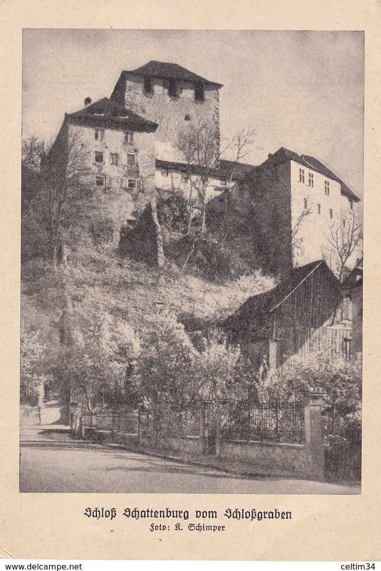 FELDKIRCH  --  Schattenburg - Feldkirch