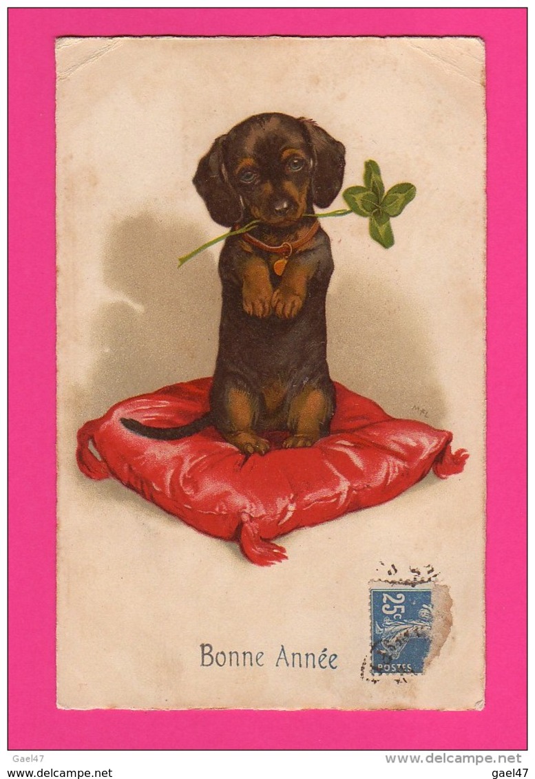 CPA (Réf : VV417) (Animaux &amp; Faune Chien) Coussin Trèfle 4 Feuilles, Bonne Année Caniche - Chiens